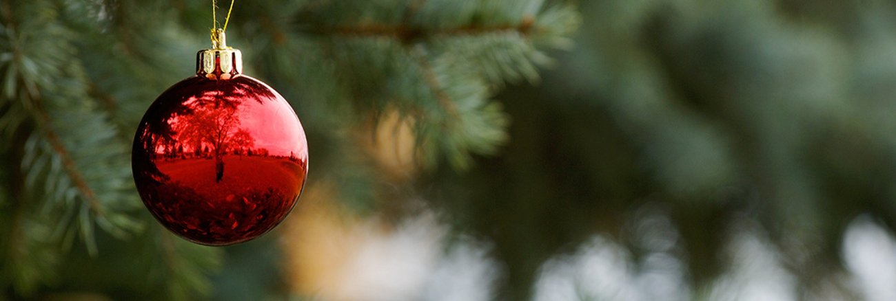  Rote Weihnachtskugel an einer Tanne 